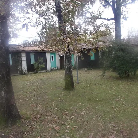 Le Petit Du Hourtin